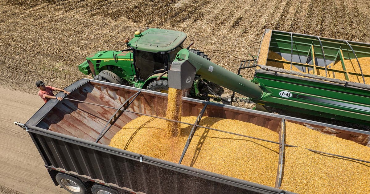 China eyes U.S. corn deal ahead of Trump-Xi summit Thursday