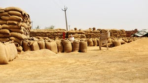 Bags of wheat stacked and piled outdoors