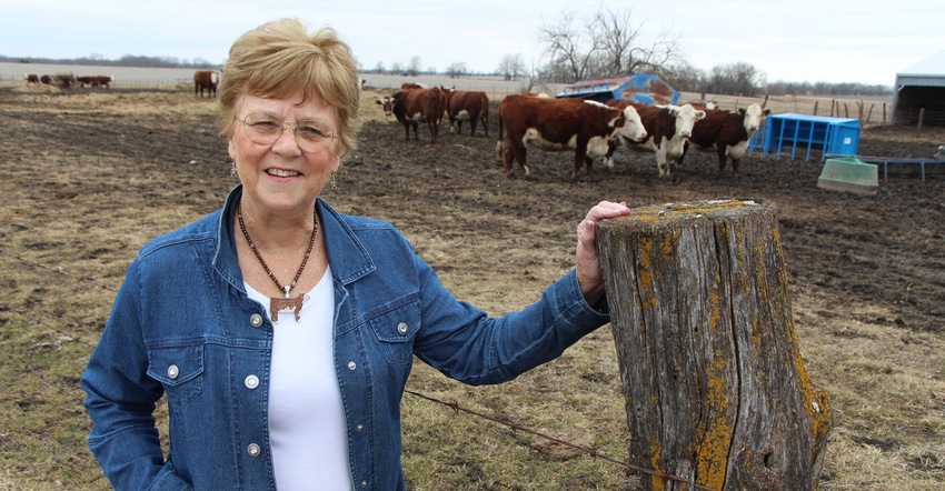 Patty Wood standing in front of caws in pasture