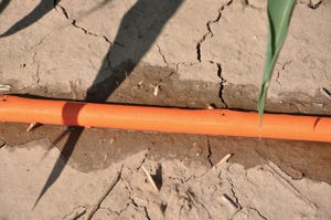 drip-hoses.jpg drip-hoses.jpg