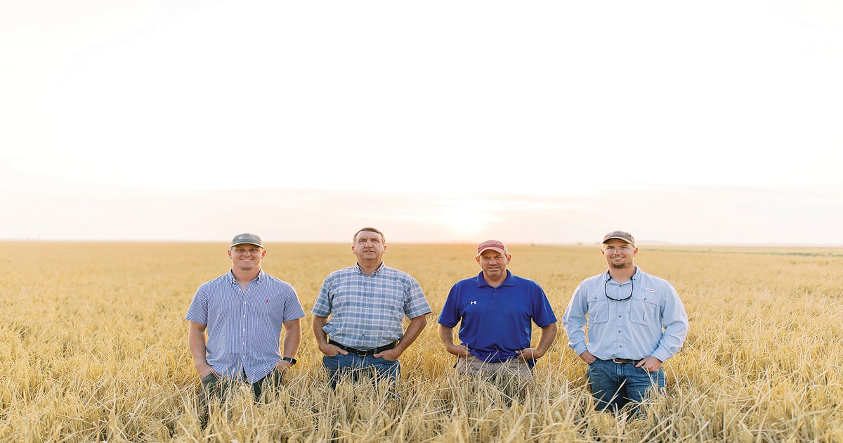 Sullivans manage row rice in northeast Arkansas