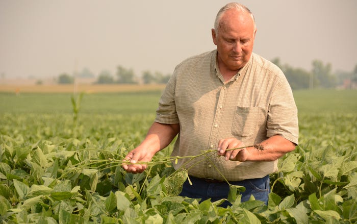 Kent Hodel standing in a soybean field