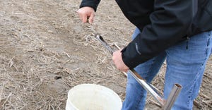 person take soil sample in crop field