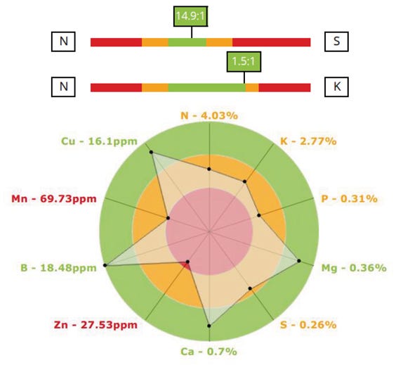 tissue test report