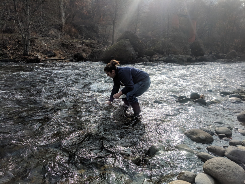 Tracy Schohr tests water in a creek