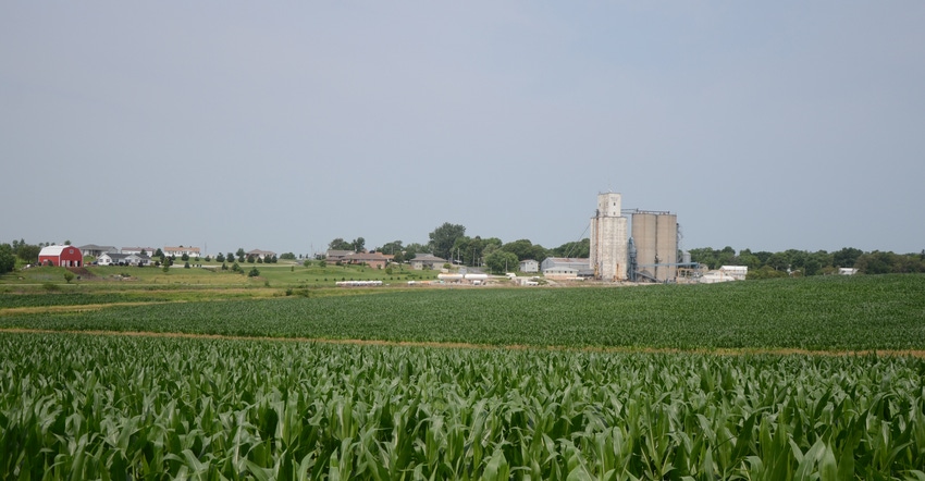 corn field with farm in background