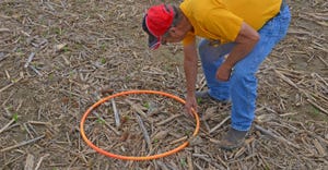 Jim Facemire, Edinburgh, Ind., counts plants within the hula hoop 