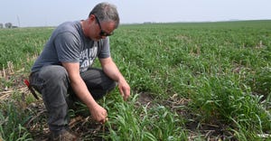 Justin Robbins checks the spring stand of cereal rye in a field on his Scranton, Iowa 