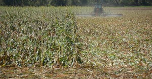 tractor and disk buries what's left of damaged corn crop after derecho in Iowa