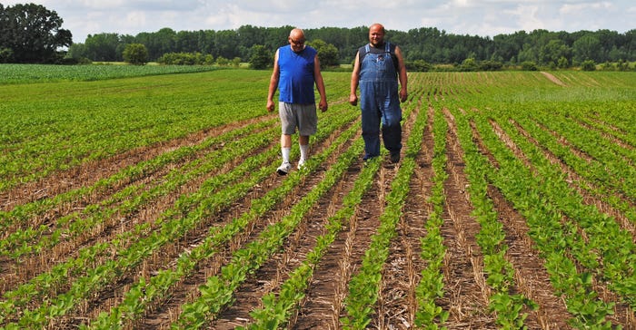 Bob and Josh Hiemstra walk in soybean field