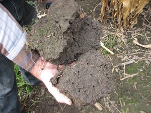 healthy soil clumps
