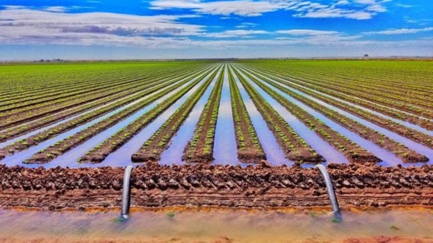 Arizona farmland