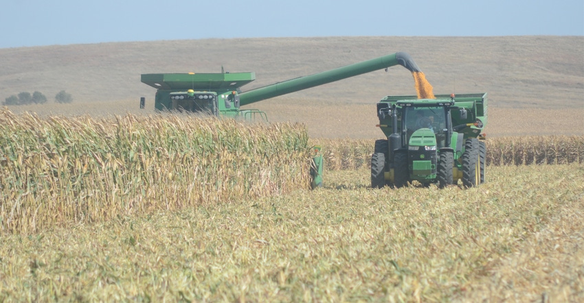 Combine in corn field 