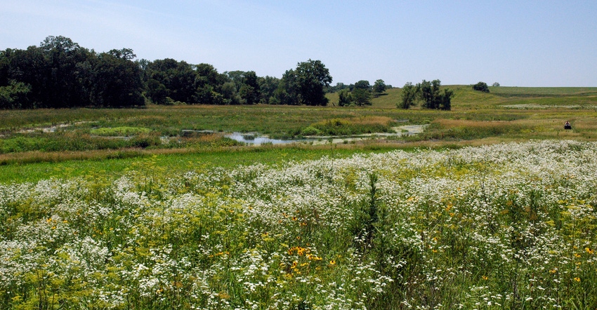 Panoramic view of conservation efforts across acreage