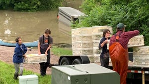 People moving mobile chicken coops from a river bottomland to higher ground