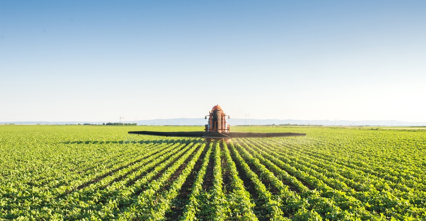 Tractor spraying soybean field.