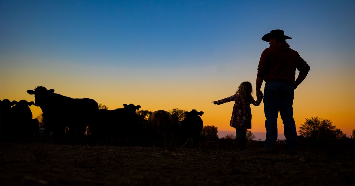 Cattle farmers: Pawns in the world trade game