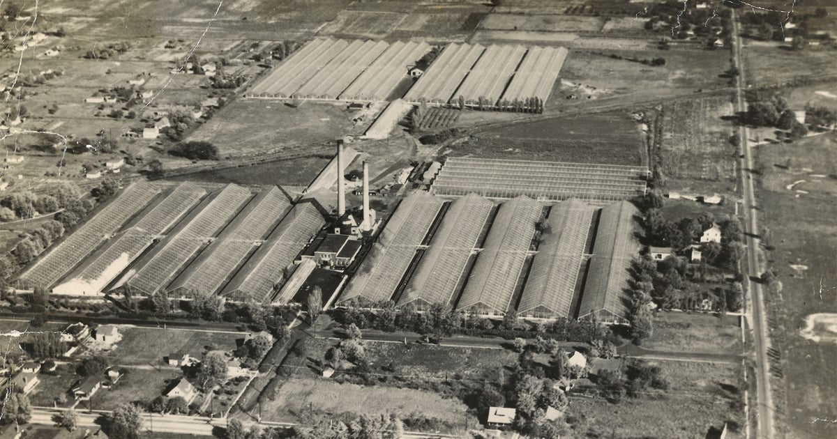 What happened to this large Indiana greenhouse?