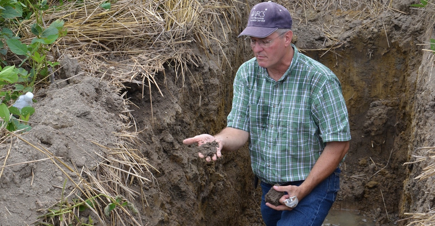 Barry Fisher identifies roots near the bottom of this soil pit 