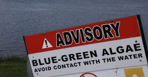 advisory blue green algae in water sign