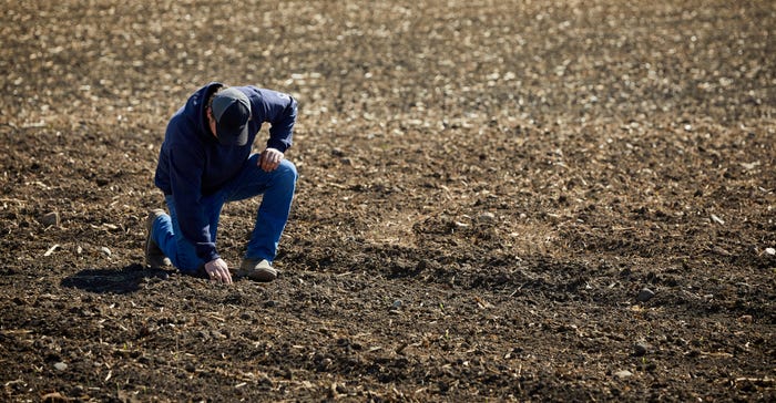 Sam Peterson kneels in field and inspects ground
