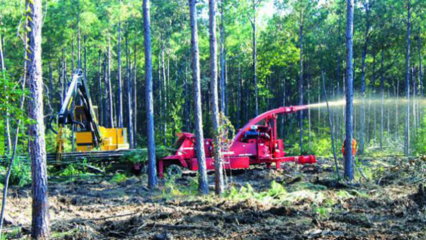 Cotton: A Sustainable Choice in Alabama's Climate - Alabama Cooperative  Extension System