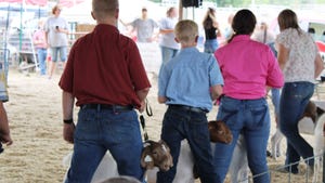  Kids showing goats at a fair