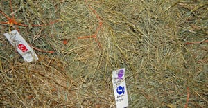 pile of hay 