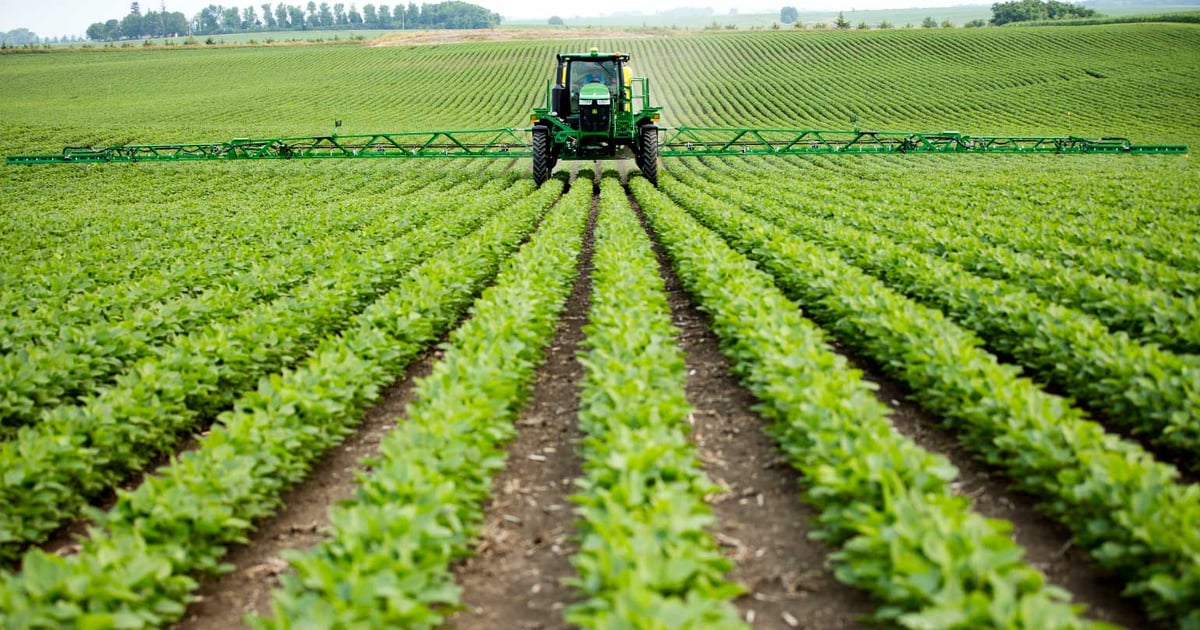 kyber herbicide Quali-Pro Prodiamine 4L Pre-Emergent Herbicide