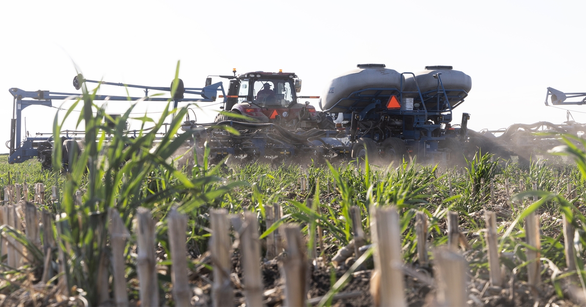 Mud, bugs, ponding and more plague Iowa corn and soybeans