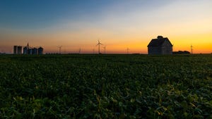 sun sets over a field of soybeans with a barn and wind turbines in the background