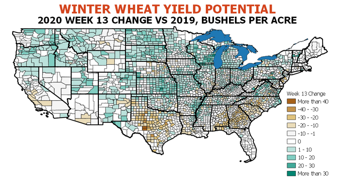 Winter wheat yield potential