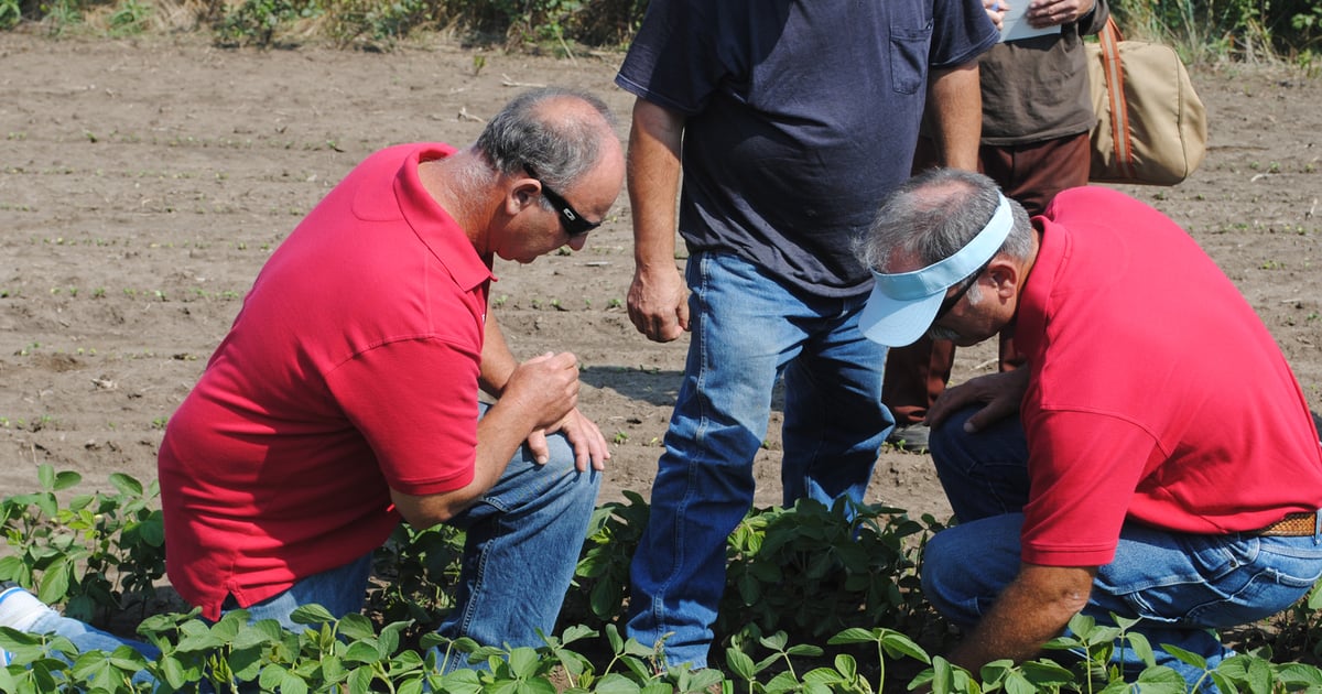 How to test crop biologicals on your farm