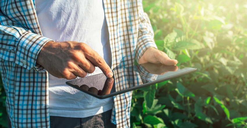 Farmer using digital tablet computer in cultivated soybean crops field, modern technology application in agricultural growing