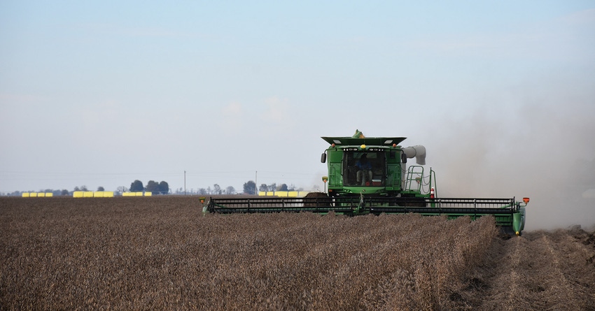 soybean harvest-bmurphree_2203copy.jpg soybean harvest-bmurphree_2203copy.jpg