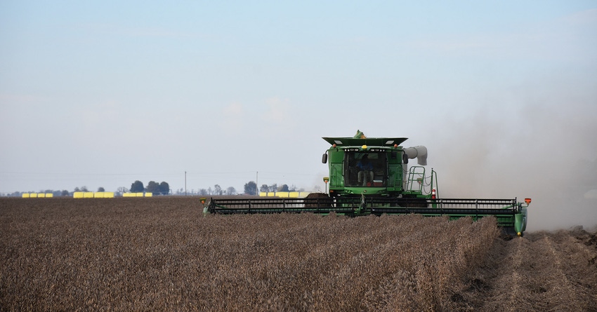 soybean harvest-bmurphree_2203copy.jpg