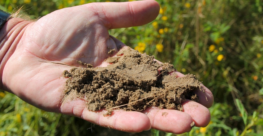 A small sample of soil in a hand