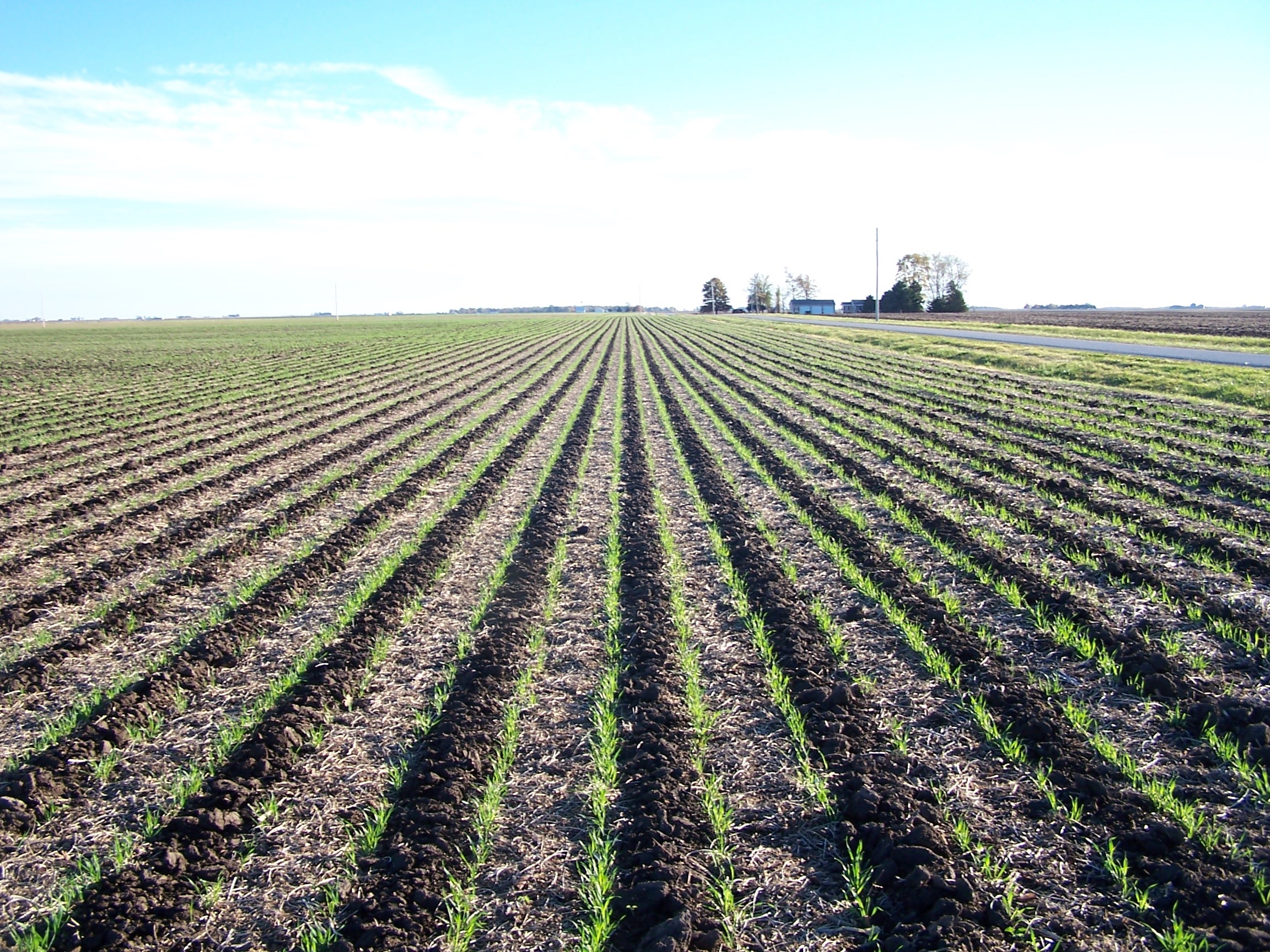 Building, Refining Yields Promise For Strip-Tiller