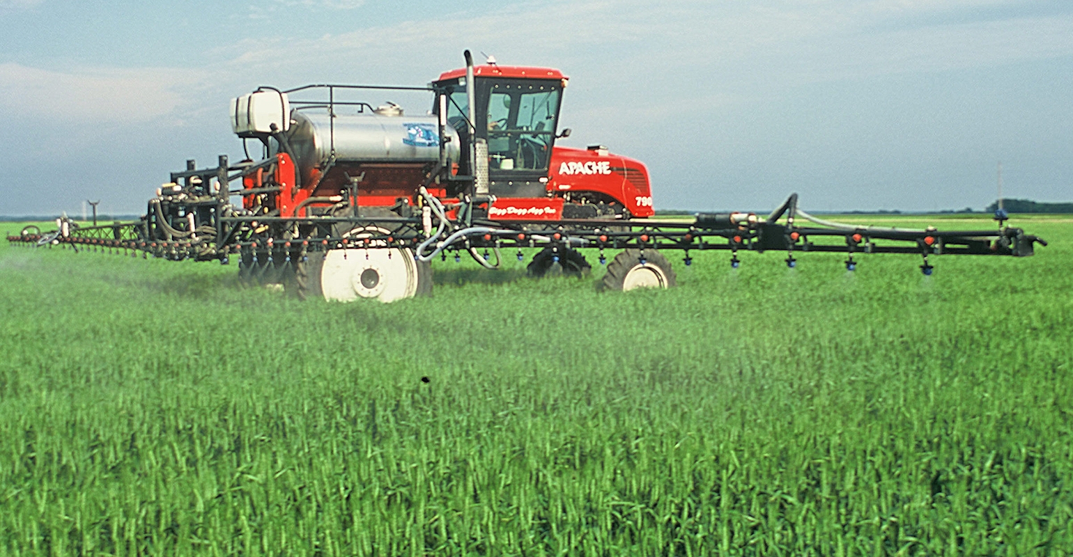 How To Protect Wheat And Barley From Fusarium Head Blight