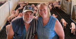 A man and a woman standing in a pen with pigs behind them