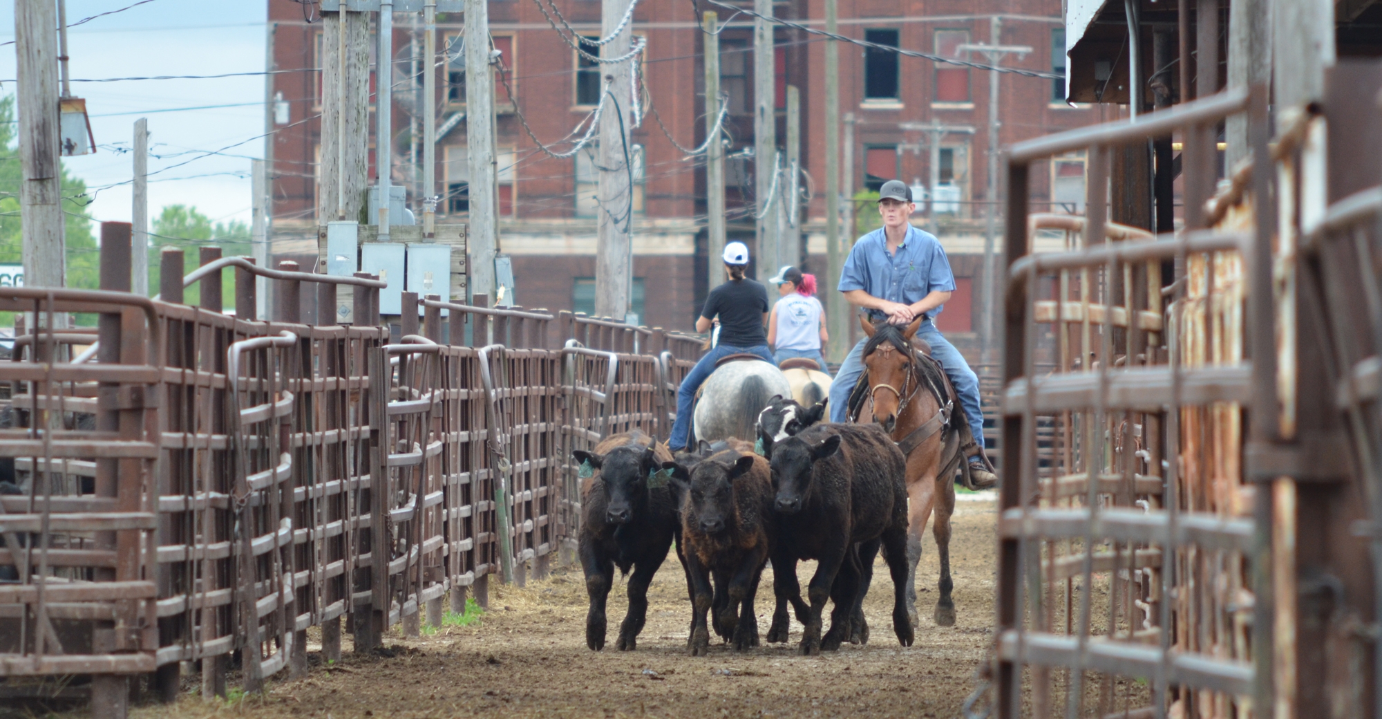 Goodbye to historic St. Joseph Stockyards | Farm Progress