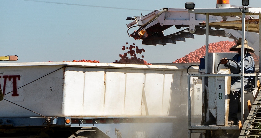 wfp-todd-fitchette-canning-tomatoes-web.jpg