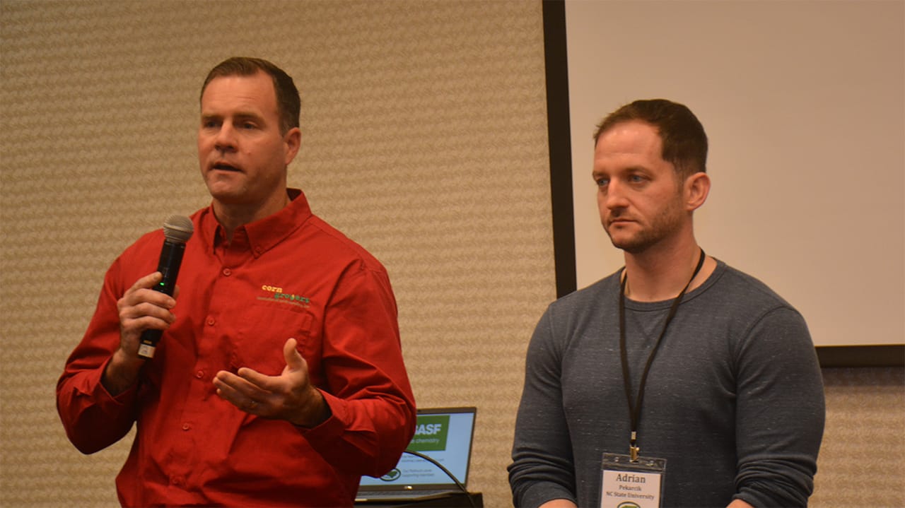 Hoping for the best on cotton jassid in North Carolina