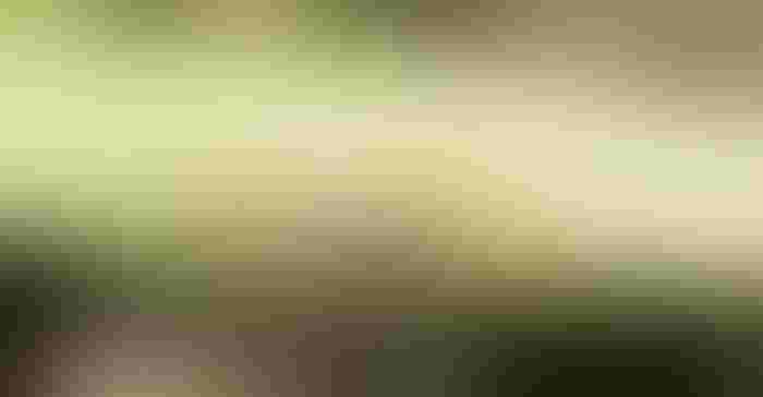 0902H2-1457C-1540x800.jpg 0902H2-1457C-1540x800.jpg