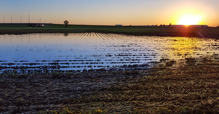 A sunset is reflected in the standing water of a flooded corn field