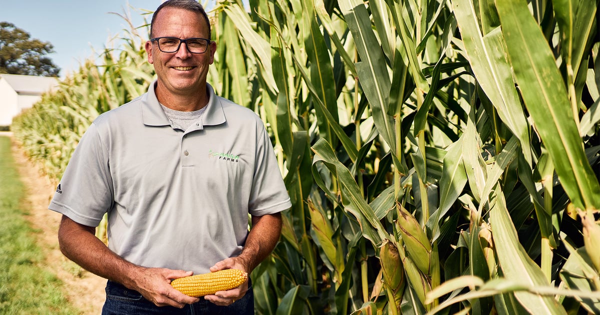 Corn-based sustainable aviation fuel: New market for Illinois farmers