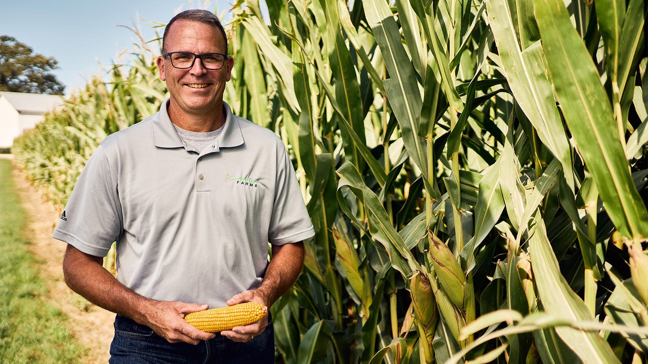 Corn-based sustainable aviation fuel: New market for Illinois farmers Corn-based sustainable aviation fuel: New market for Illinois farmers