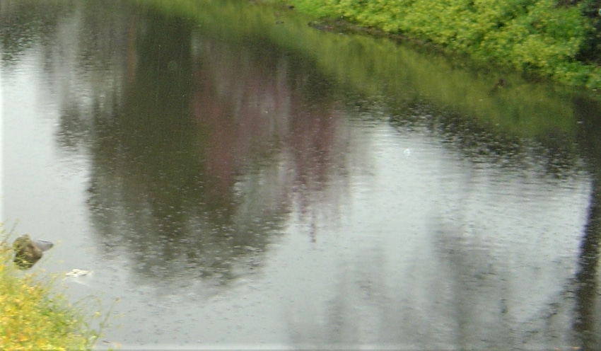 Rain falling on a canal