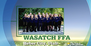 wasatch-FFA.png