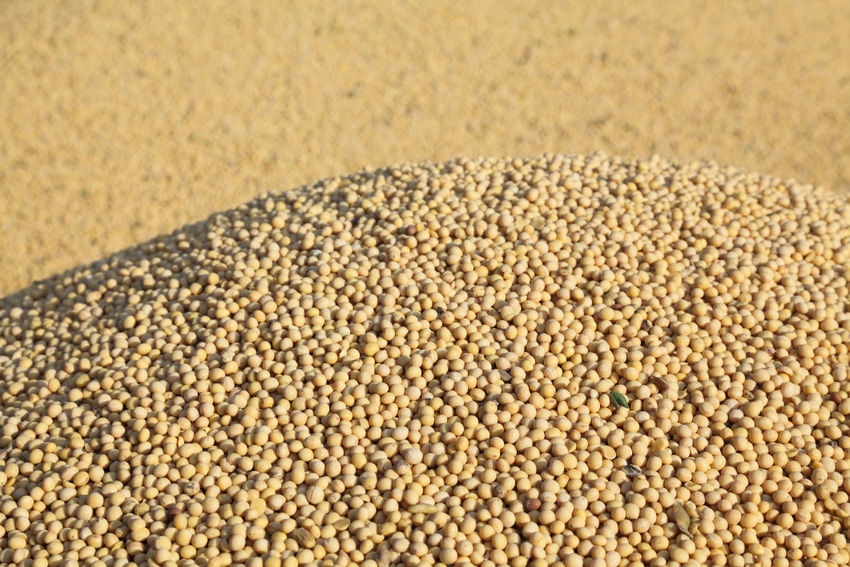 soybean-stockpile-Getty-119403631.jpg